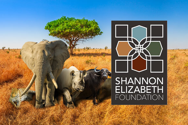 org-shannon-elizabeth-foundation